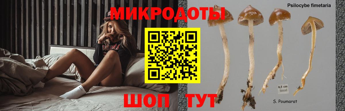 Галлюциногенные грибы Psilocybe  Вход с VPN  Кировск 